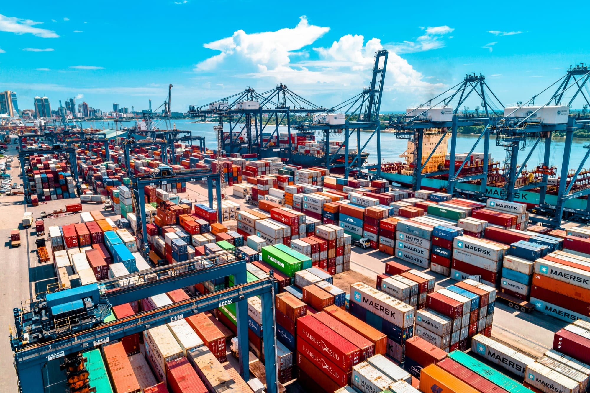 Container & Cargo Seals
