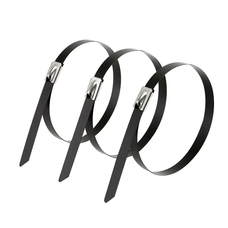 Metal Strap Seal