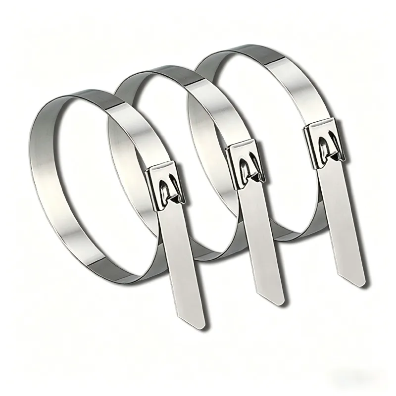 Metal Strap Seal