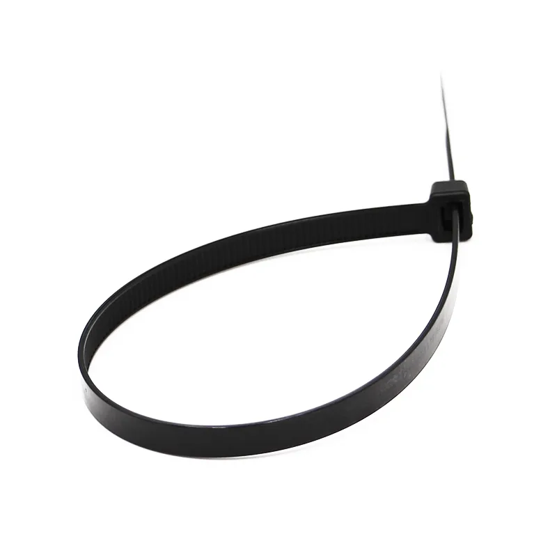 Plastic Security Seal